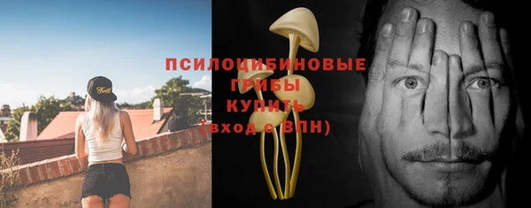 соль ск Верхнеуральск