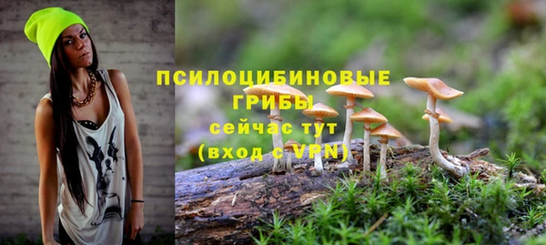 соль ск Верхнеуральск