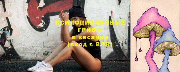 соль ск Верхнеуральск