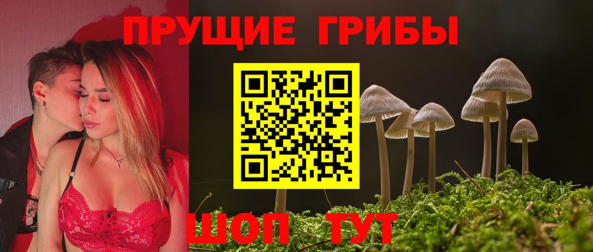 Псилоцибиновые грибы прущие грибы Выкса